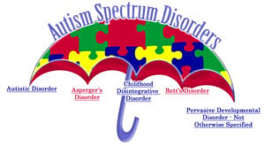 autism spectrum umbrella