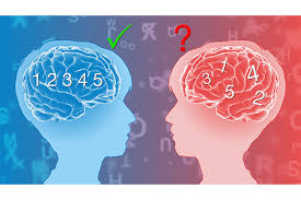 differences in dyslexia brains